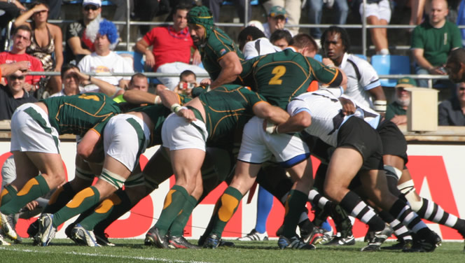 illustration AFS melee%20(Romina%20Facchi)