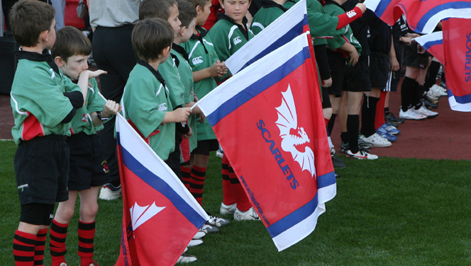 Un nouvel entraîneur en chef aux Scarlets illustration Llanelli drapeau 18