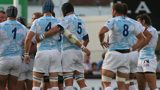 Montpellier : première pour un Springbok illustration Montpellier pack2 11