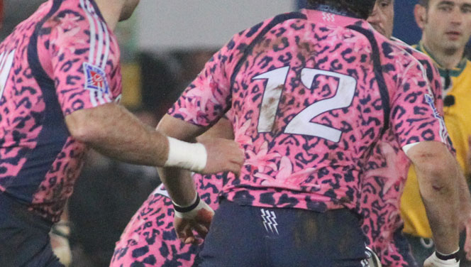 Un autre Springbok arrive au Stade Français illustration SF 12 5