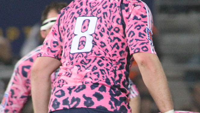 Le Stade Français tient son joker illustration SF 8 6