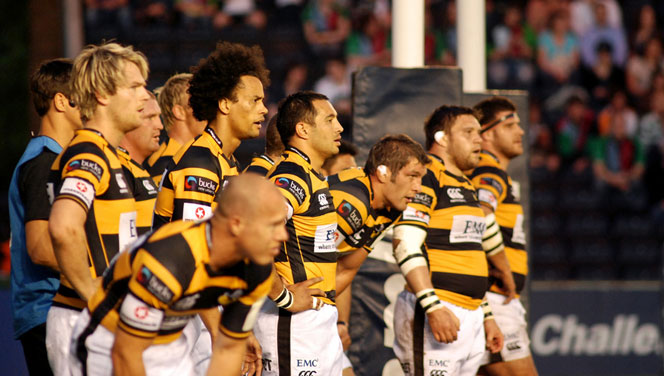 illustration Wasps groupe%20(David%20Howlett) 5