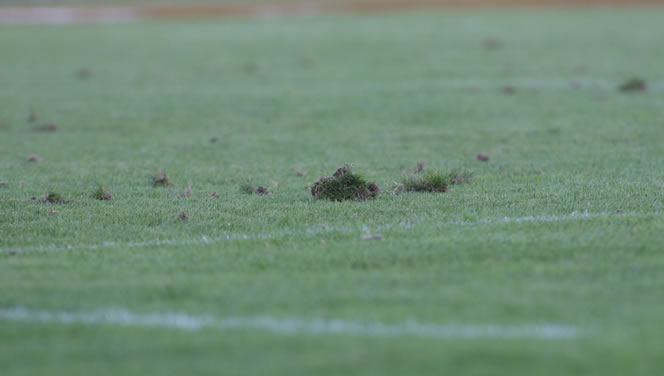Fédérale 3 : Les mouvements au Stade Poitevin pelouse mottes 1