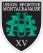 Montauban Rugby