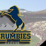 Brumbies