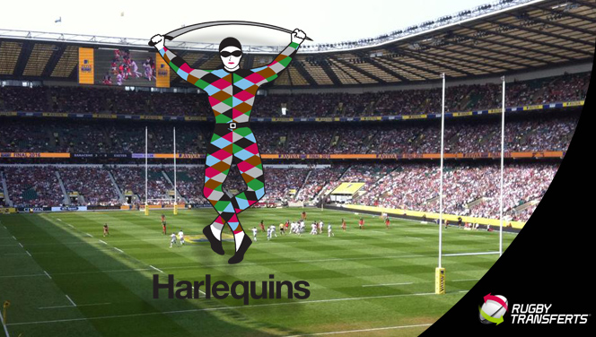 Harlequins