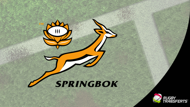 Springboks Afrique du Sud