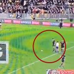 beauden-barrett