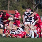 baa0d39c451a186b3ed54d8891c15557