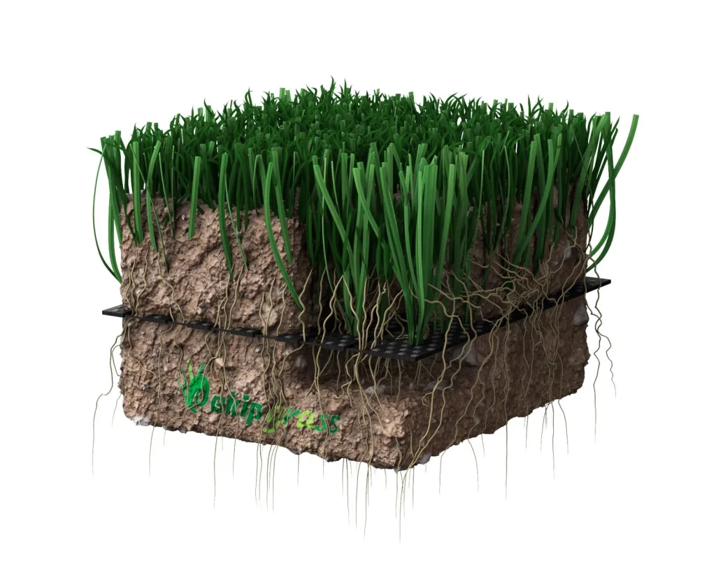hybridturfgrass