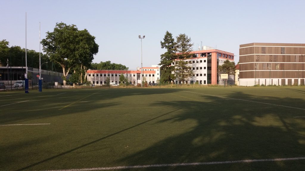 terrain rugby synthetique