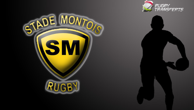 mont de marsan 85
